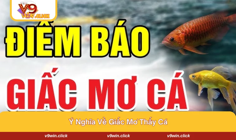 Giải mã ý nghĩa về giấc mơ thấy cá đánh con gì